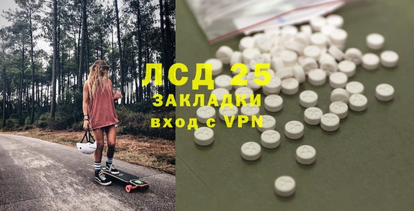 ГАЛЛЮЦИНОГЕННЫЕ ГРИБЫ Аркадак