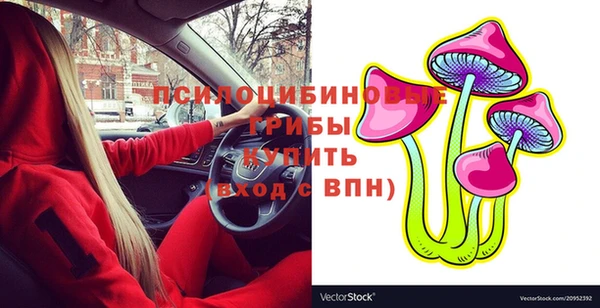 прущая мука Армянск