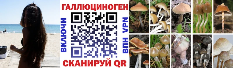 Псилоцибиновые грибы Magic Shrooms  Хотьково 